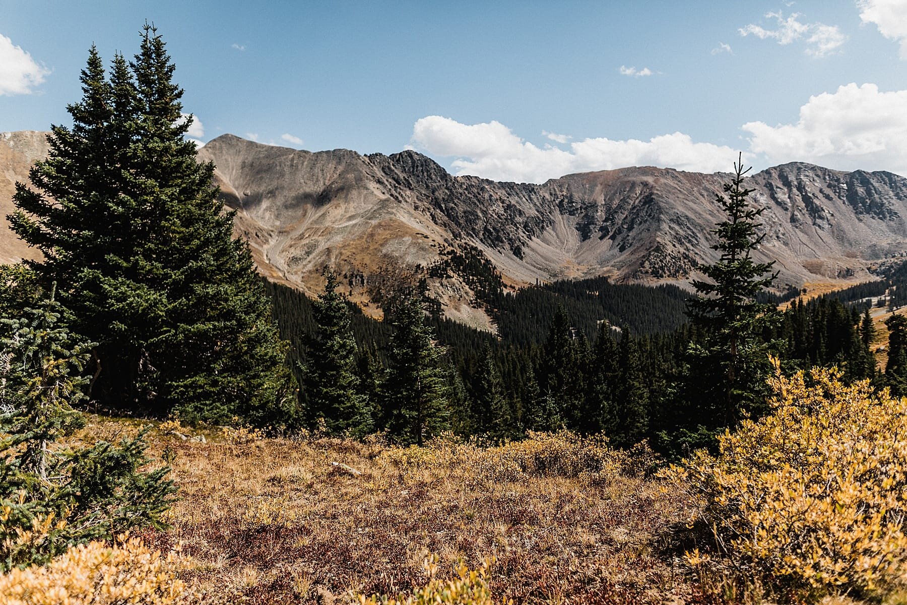 Colorado Mountain Elopement in the Fall | Vow of the Wild