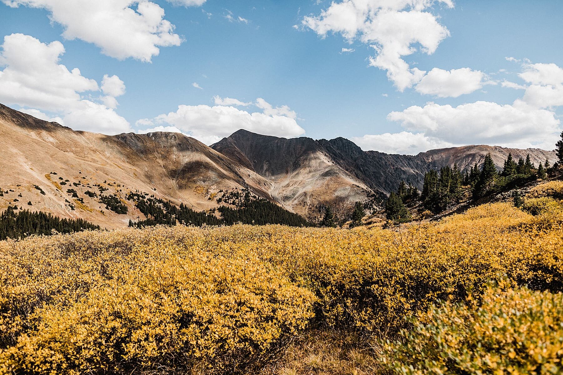 Colorado Mountain Elopement in the Fall | Vow of the Wild