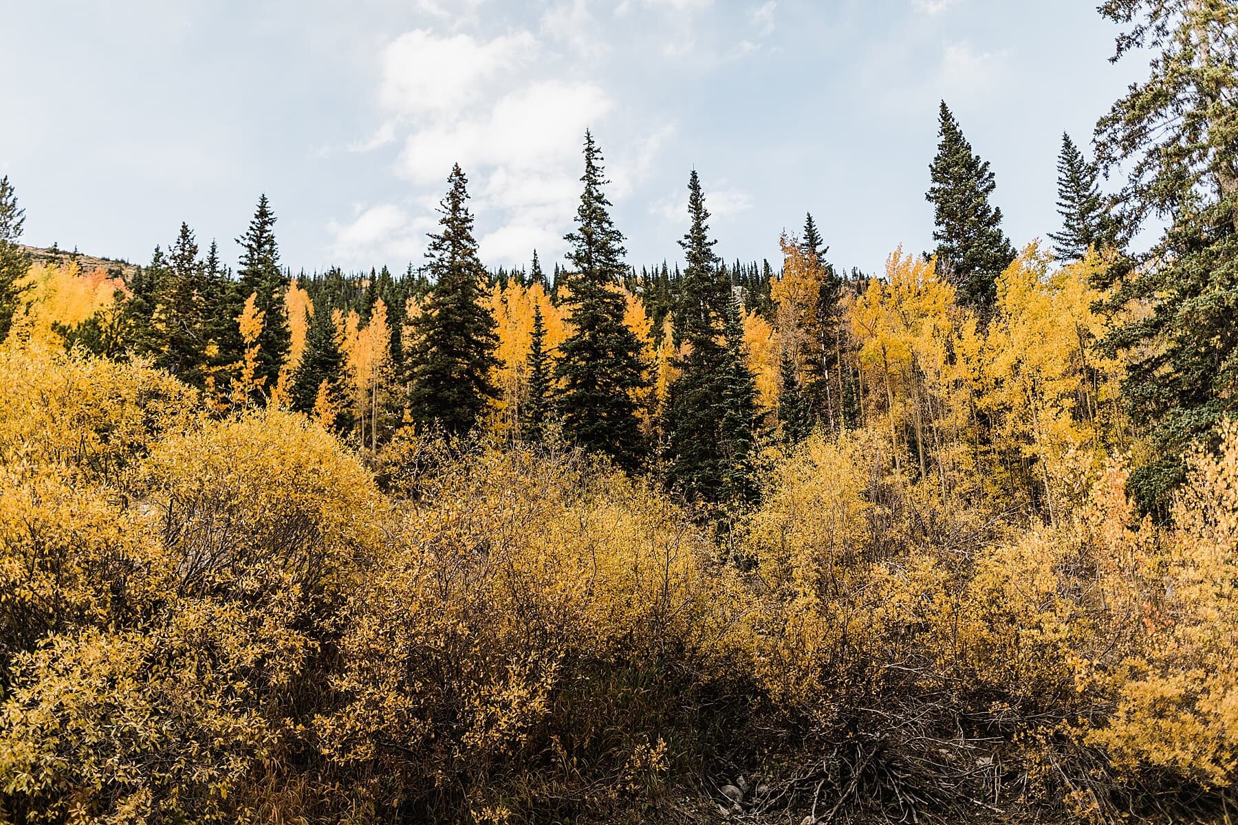 Colorado Mountain Elopement in the Fall | Vow of the Wild