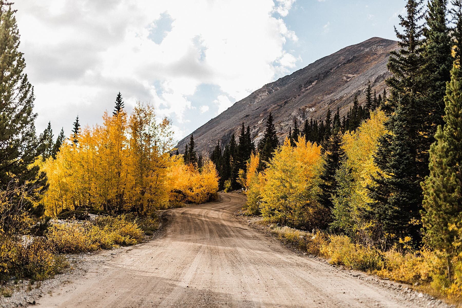 Colorado Mountain Elopement in the Fall | Vow of the Wild