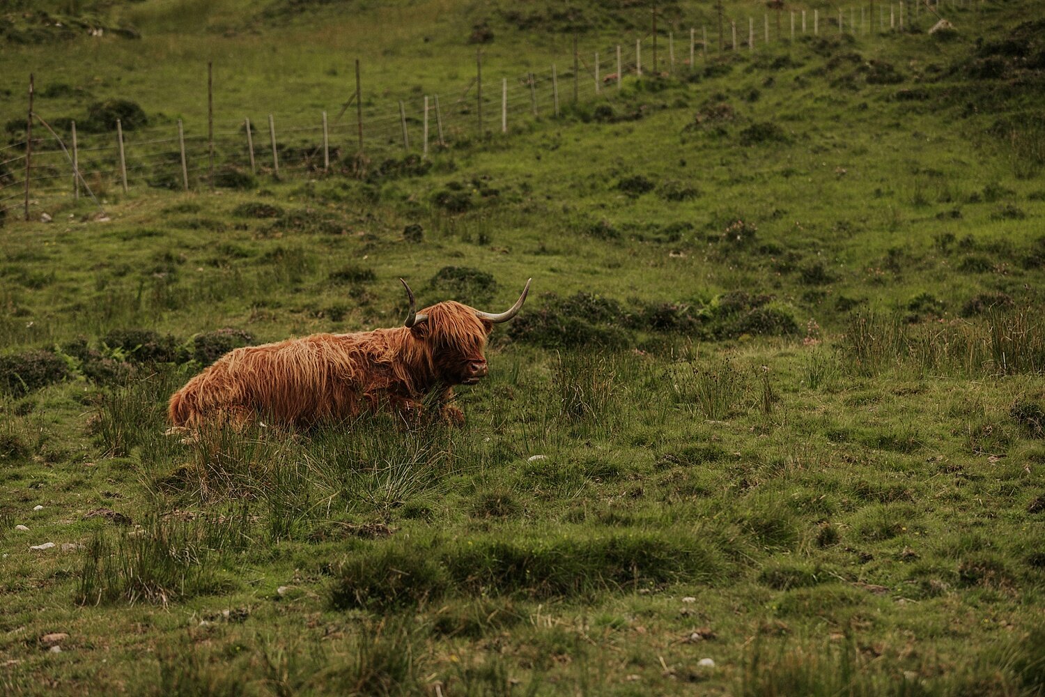 Isle of Skye Elopement | Vow of the Wild