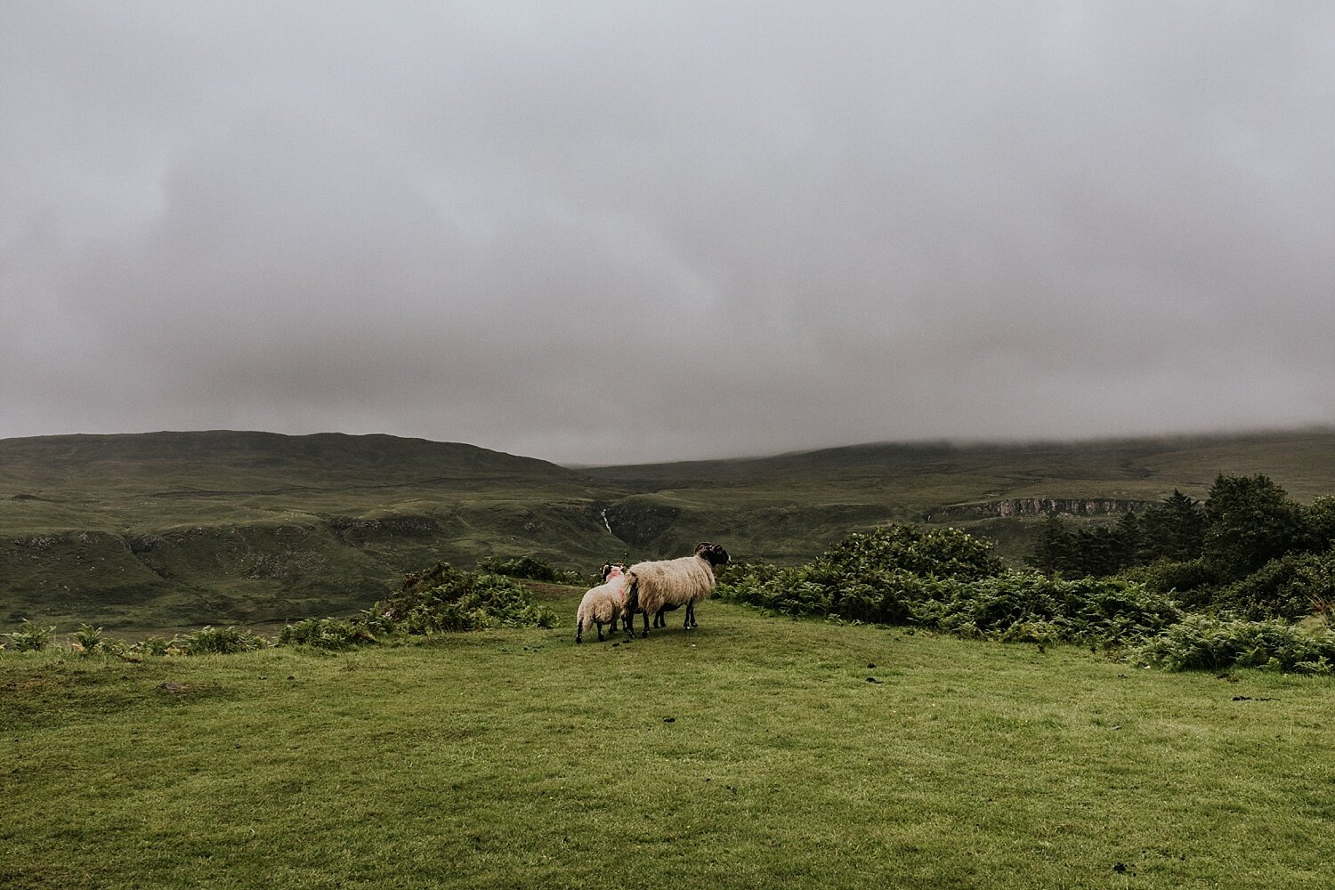 Old Man of Storr | Isle of Skye Engagement Session | Vow of the 