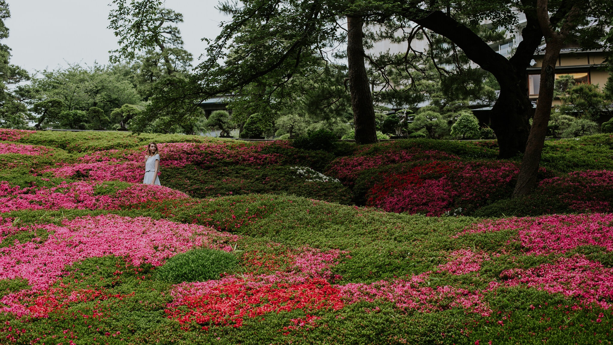 Japan-Destination-Elopement-Photographer-20.jpg