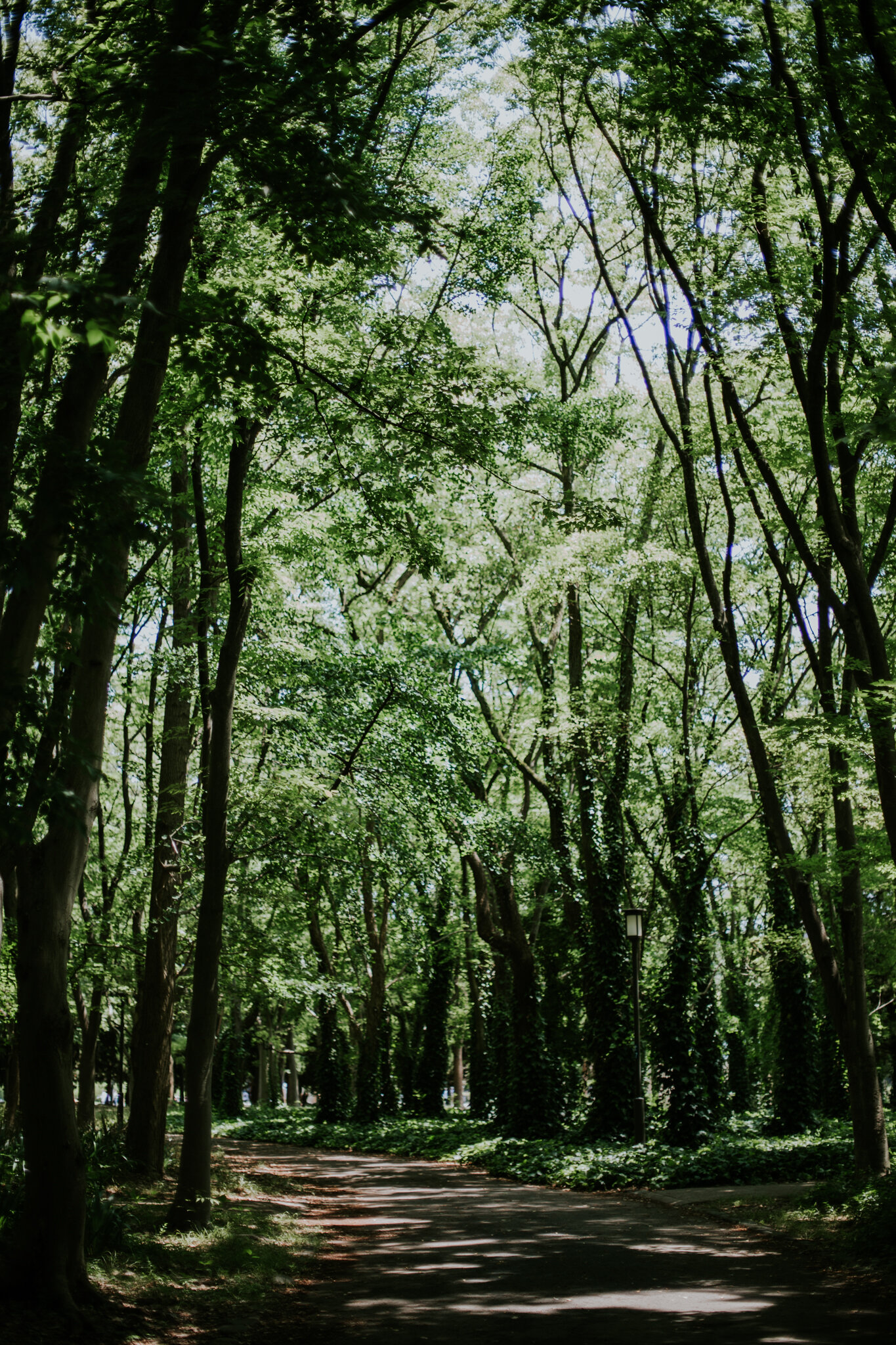 Japan-Destination-Elopement-Photographer-89.jpg