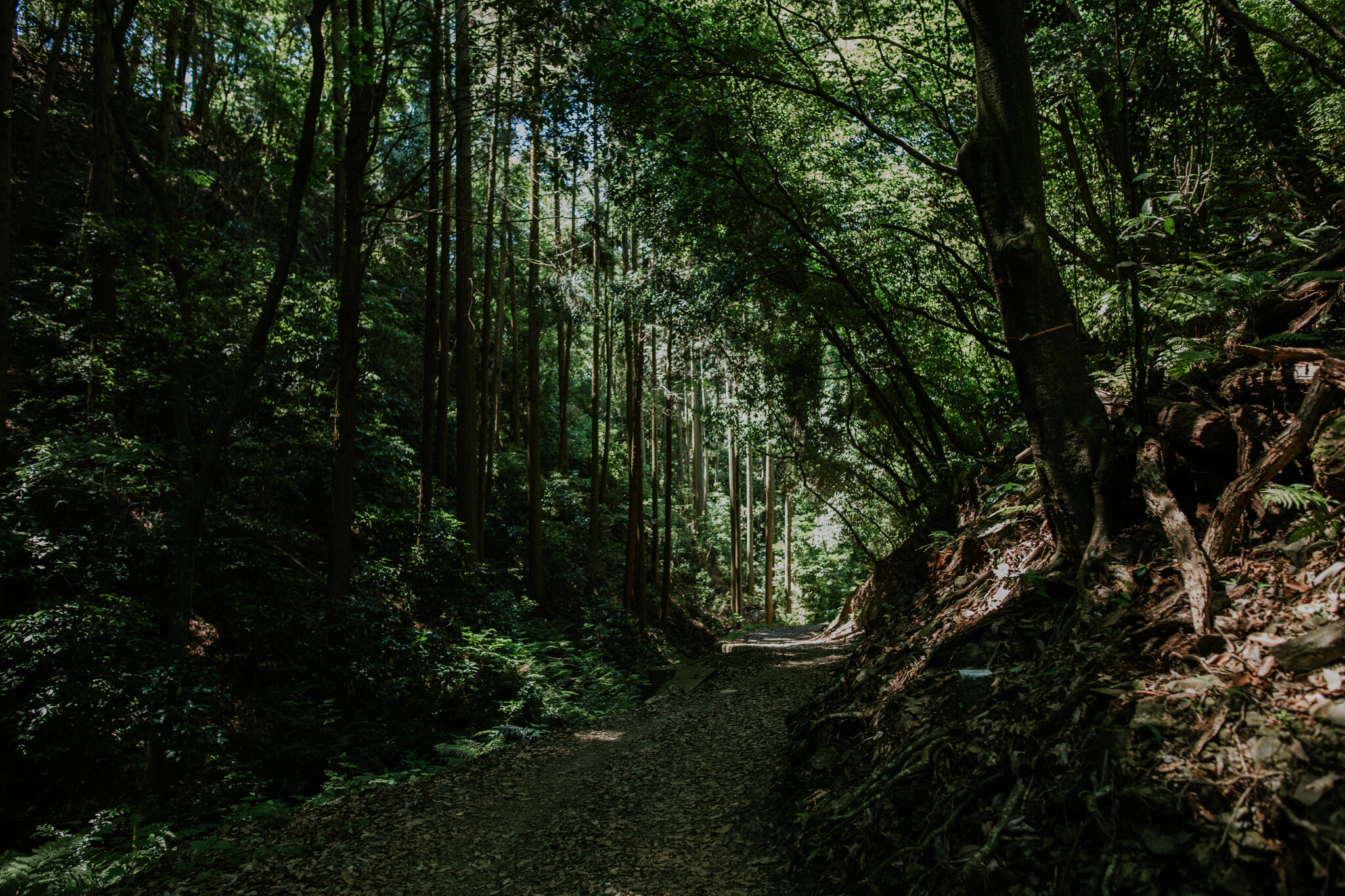 Japan-Destination-Elopement-Photographer-80.jpg