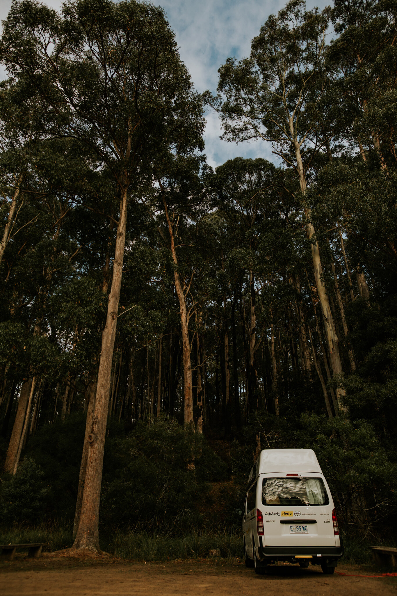 Tasmania-Mt-Field-National-Park-Campervan0003.jpg