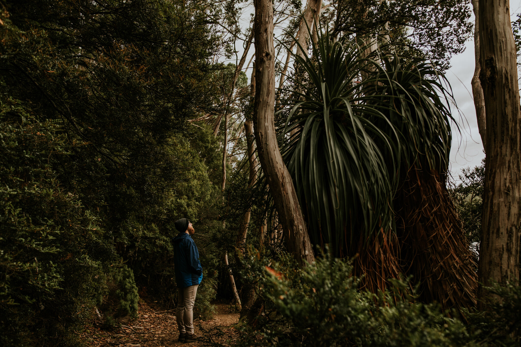 Tasmania-Mt-Field-National-Park0005.jpg