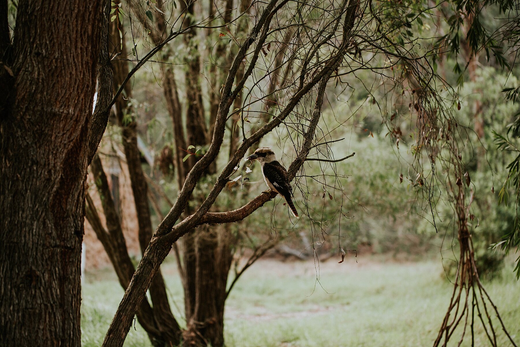 Western Australia Elopement Photographer