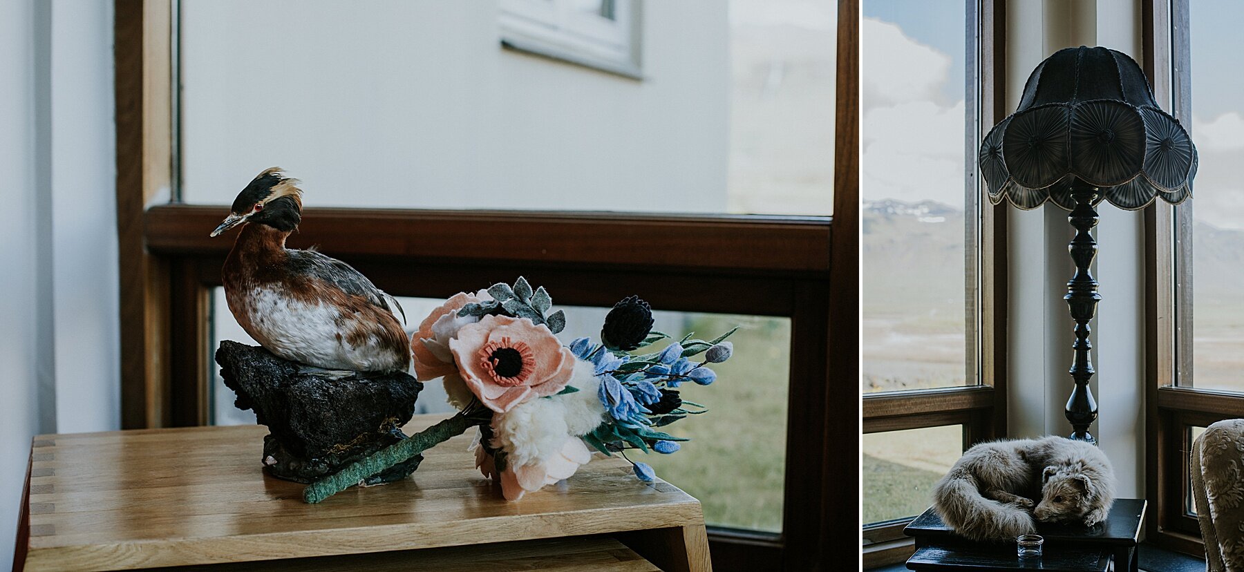 Iceland Elopement | Vow of the Wild