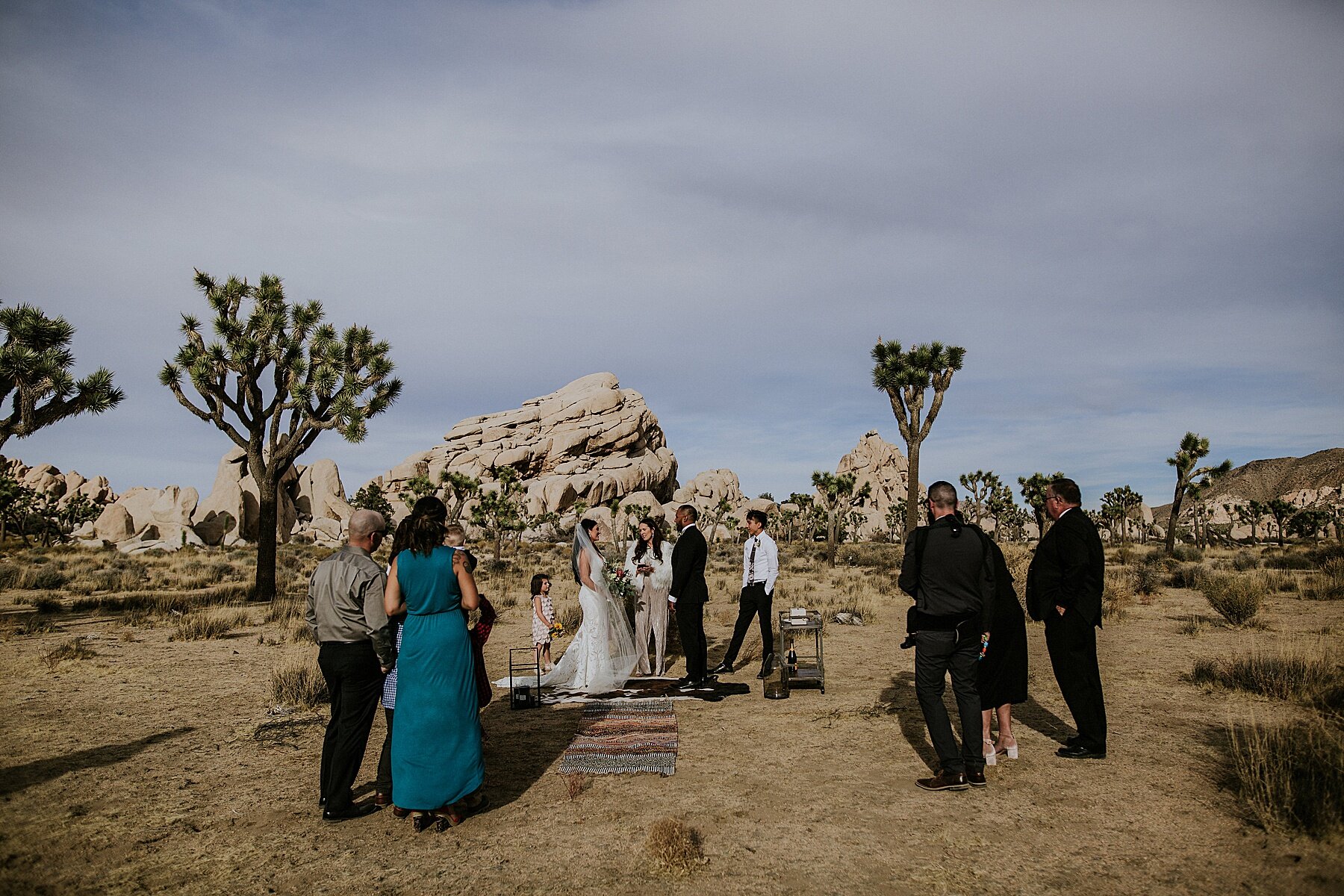 Joshua Tree Elopement | Photography and Videography | Vow of the