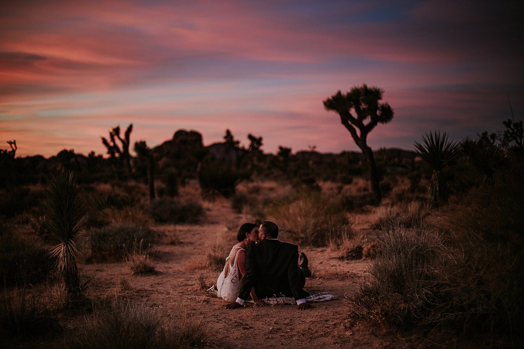Joshua Tree Elopement | Photography and Videography | Vow of the