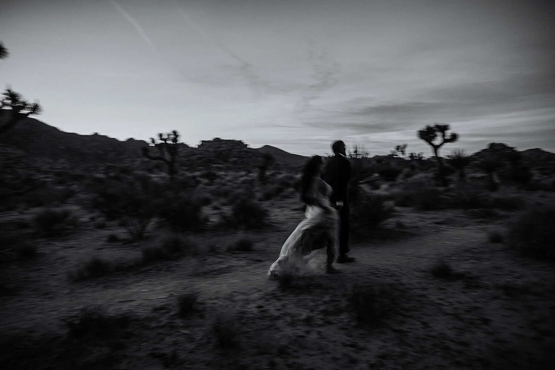 Joshua Tree Elopement | Photography and Videography | Vow of the