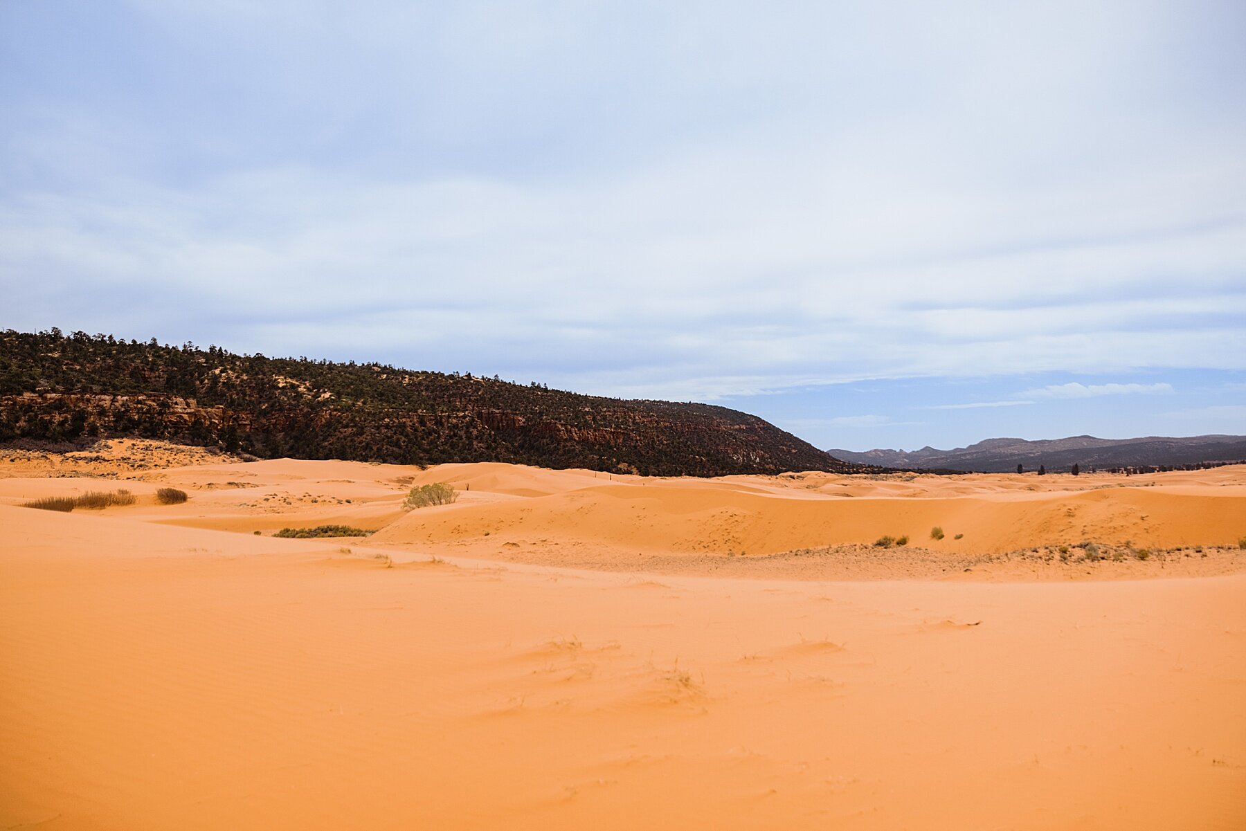 Sand-Dune-Elopement-in_Utah_0073.jpg