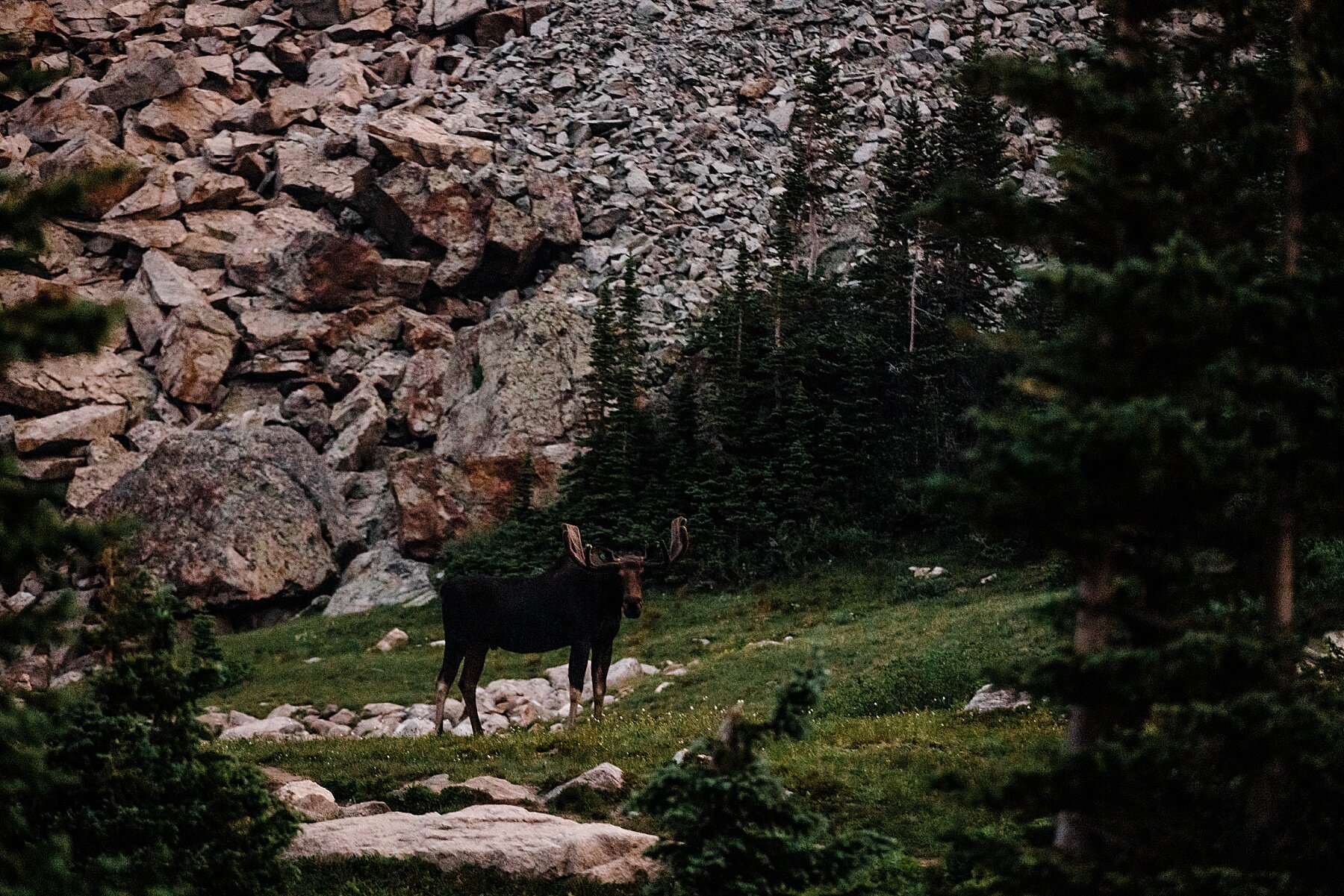 Colorado-Hiking-Elopement-at-Lake-Isabelle_0003.jpg