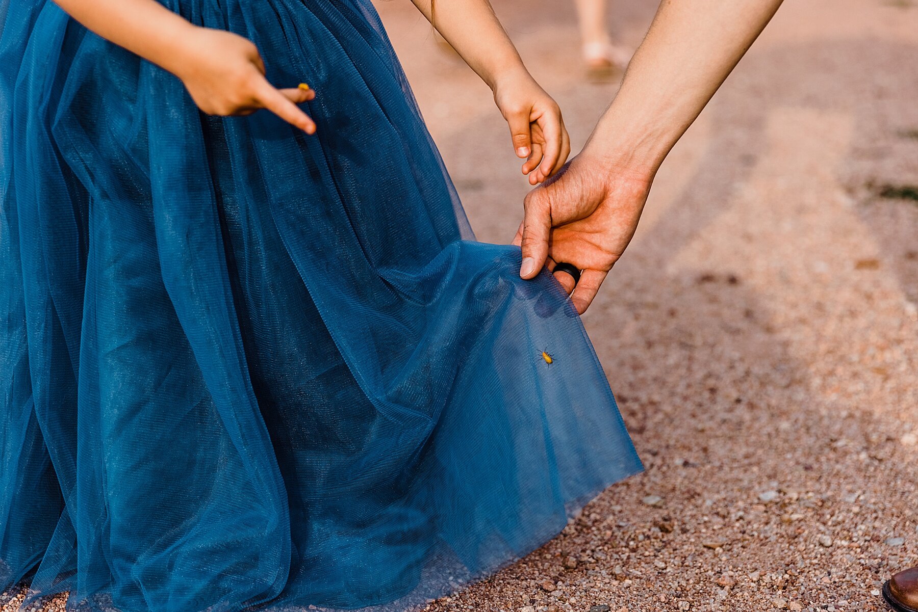 Garden-of-the-Gods-Elopement-in-Colorado_0059.jpg