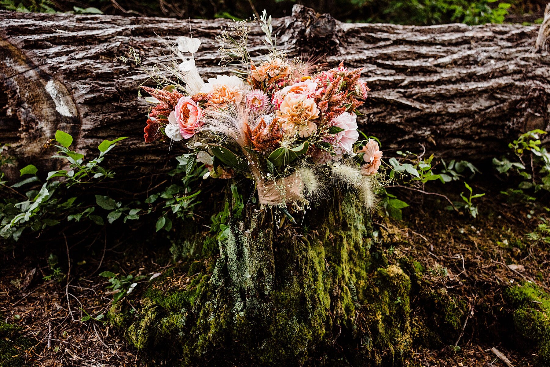 Washington Elopement at Artist Point in Mt. Baker