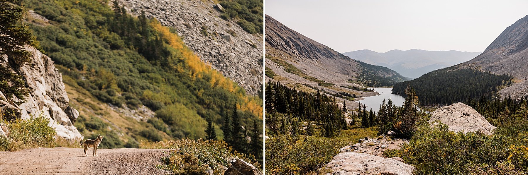 Colorado Elopement with Kids