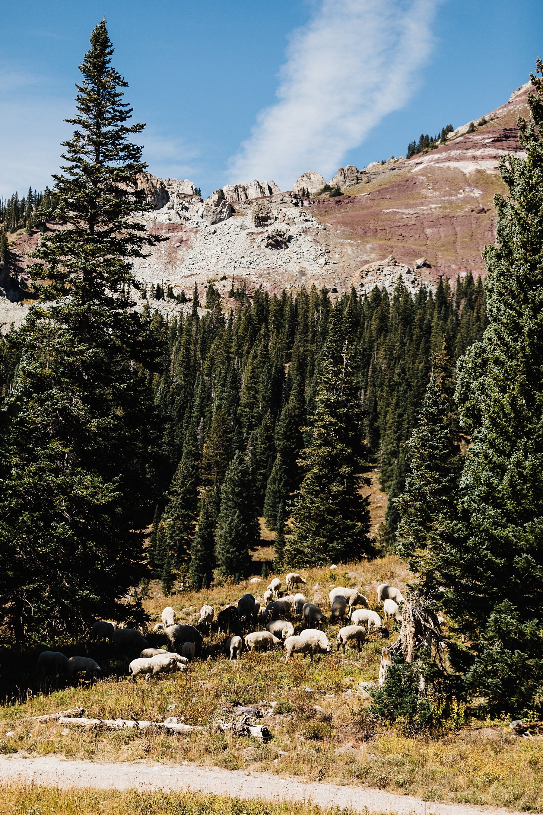 Colorado Elopement in Crested Butte