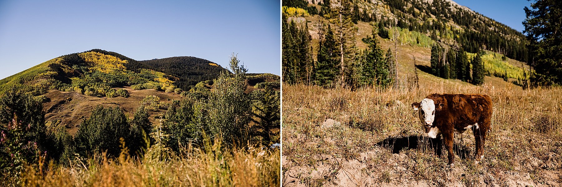 Colorado Elopement in Crested Butte