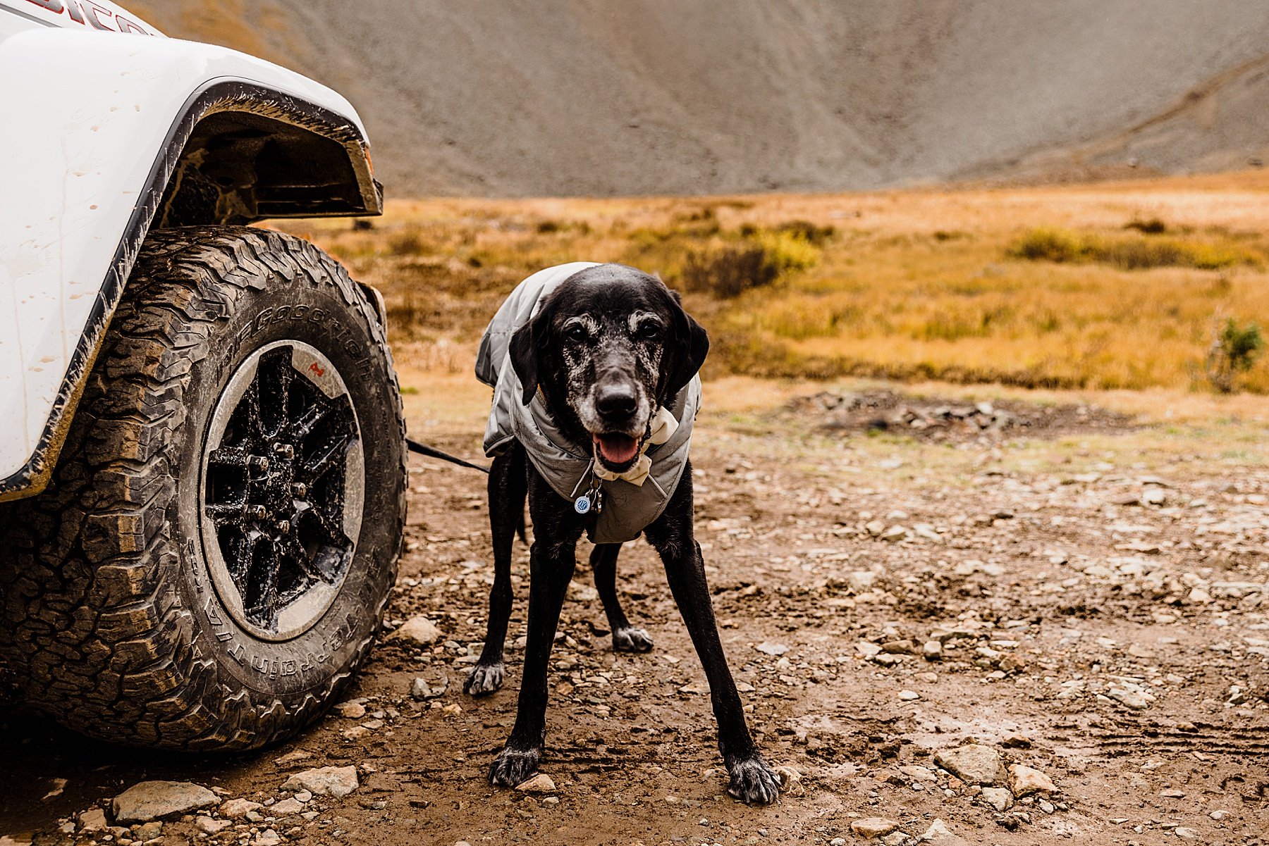 Ouray Colorado Jeep Elopement