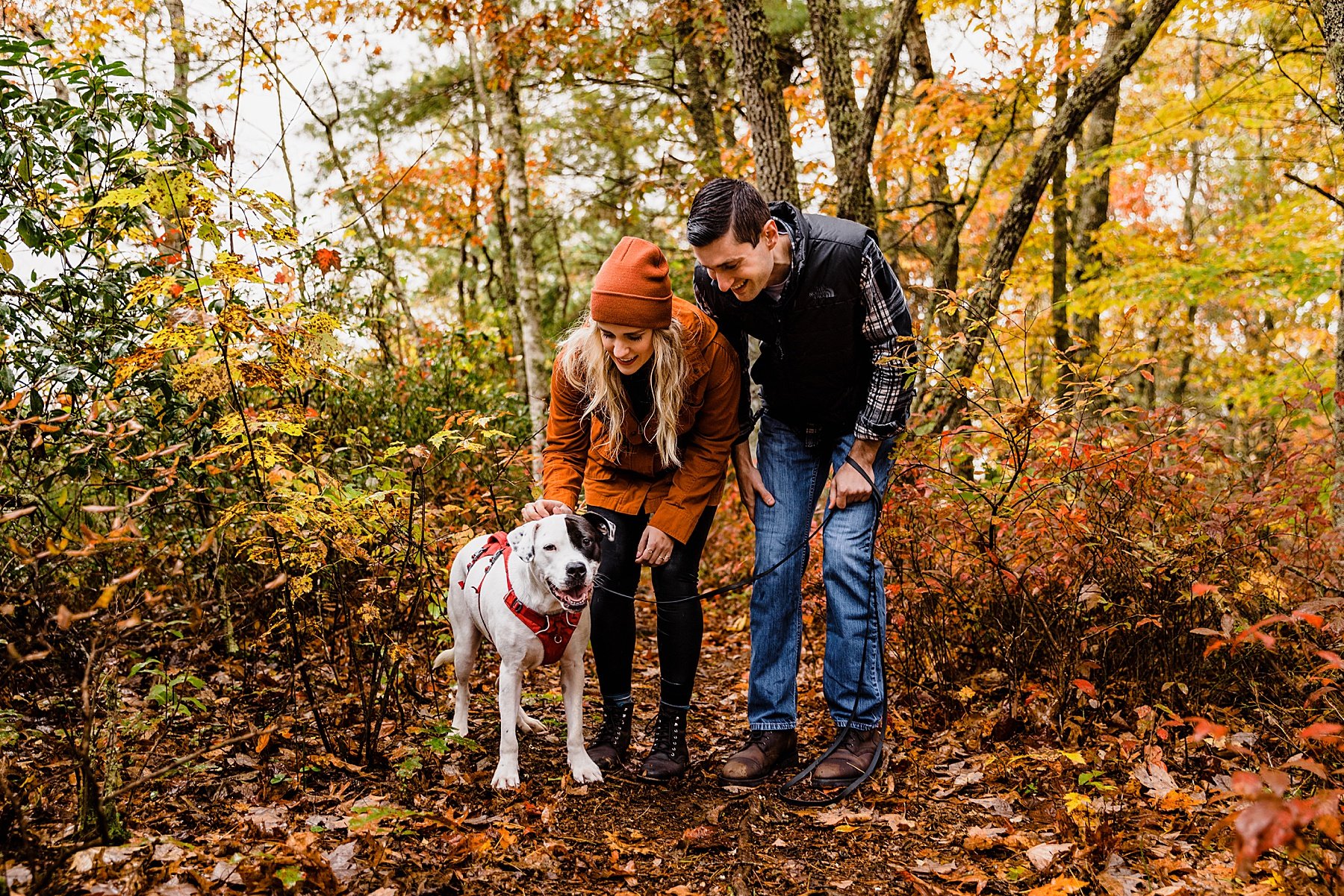 Fall Engagement Session in the Blue Ridge Mountains of North Car