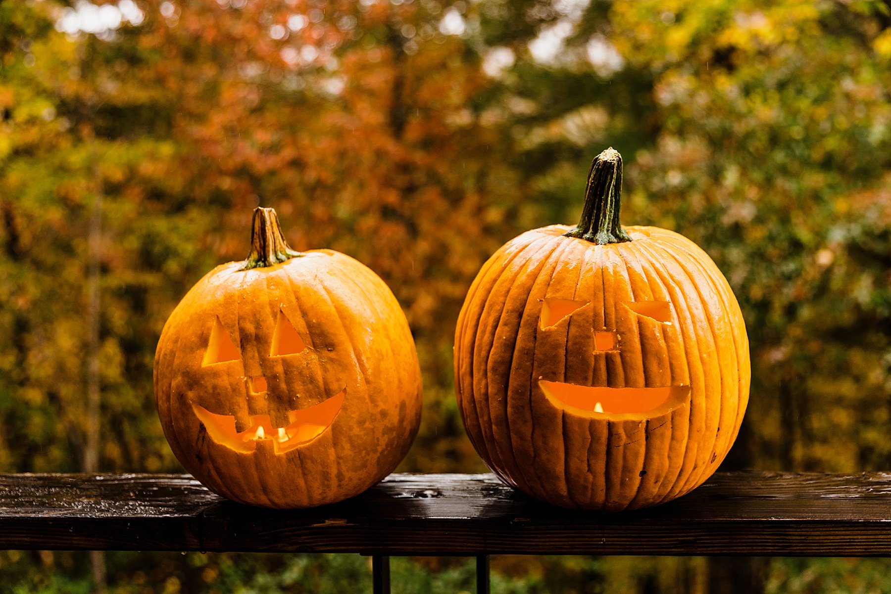 Fall Engagement Session in the Blue Ridge Mountains of North Car