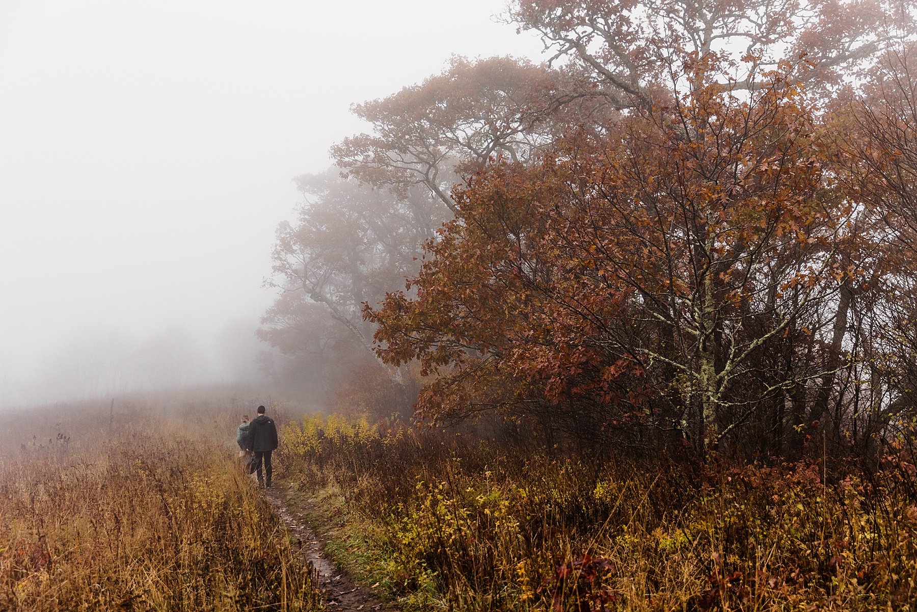 Fall Elopement in the Blue Ridge Mountains of North Carolina