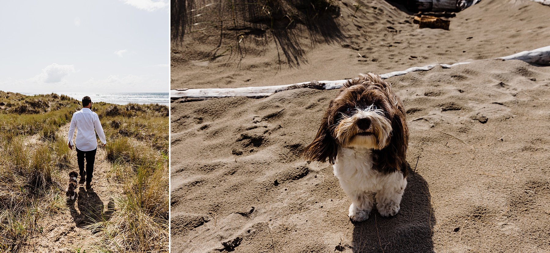 Oregon Coast Elopement