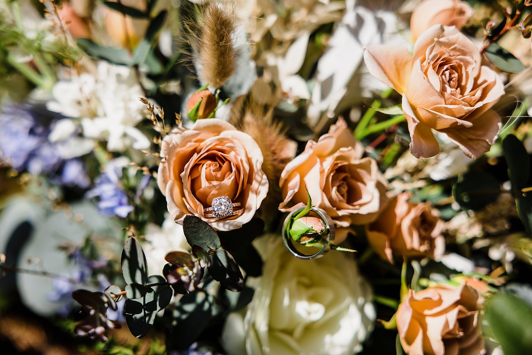 Oregon Coast Elopement