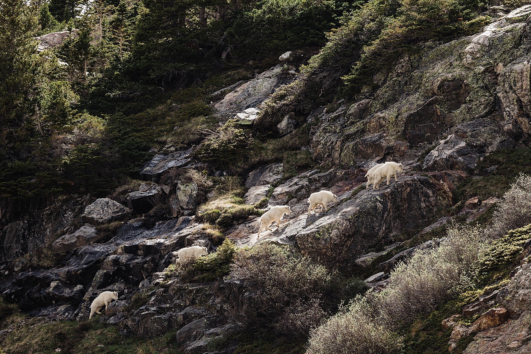 Colorado-Hiking-Elopement-Photographer_0016.jpg