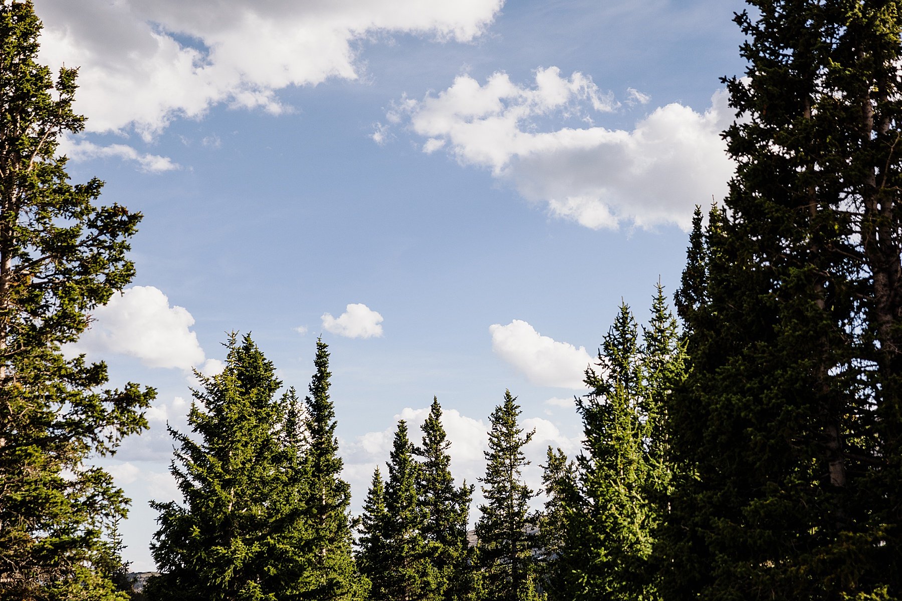 Colorado-Hiking-Elopement-Photographer_0036.jpg