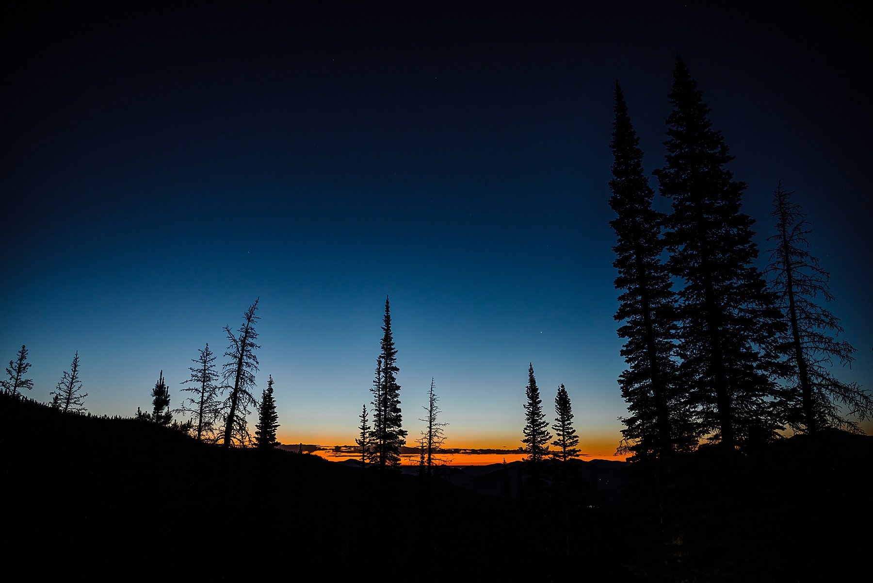 LGBTQ-Rocky-Mountain-National-Park-Elopement-in-Colorado_0002.jpg