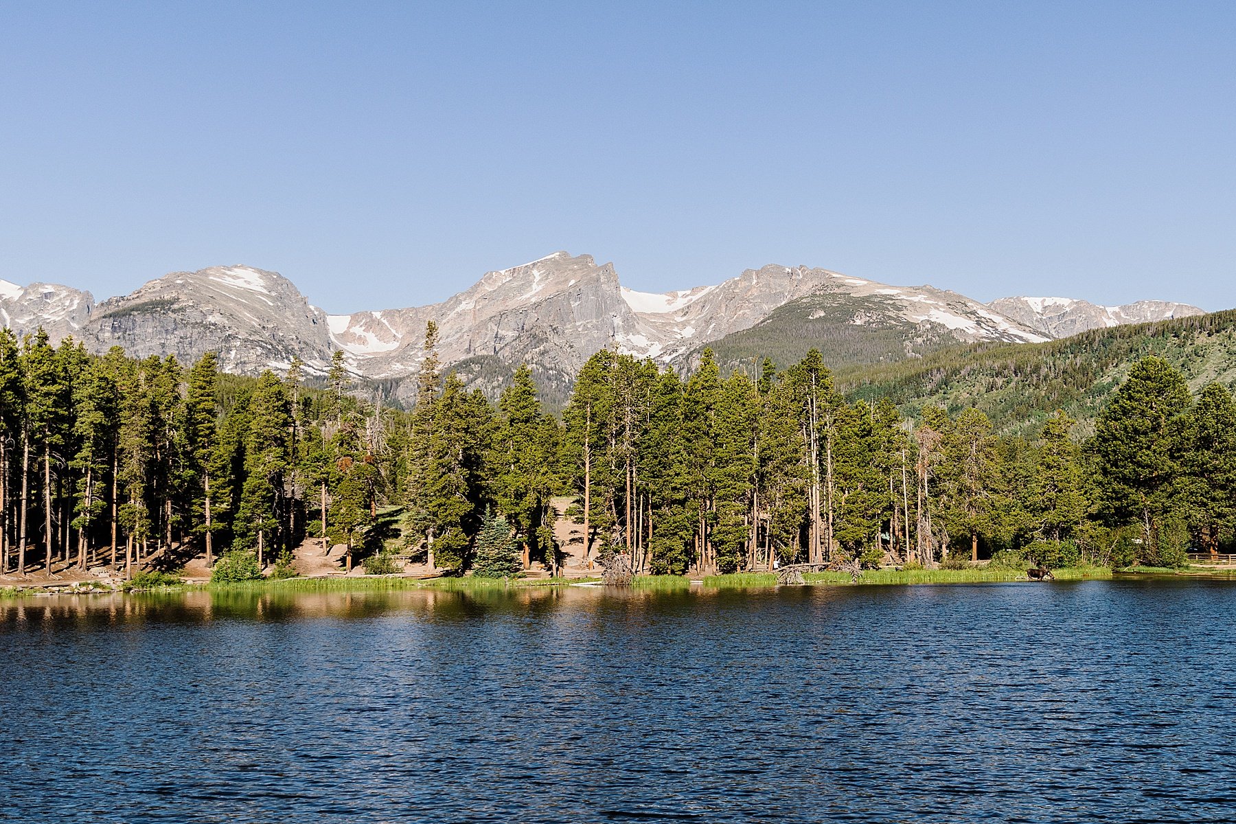 LGBTQ-Rocky-Mountain-National-Park-Elopement-in-Colorado_0051.jpg