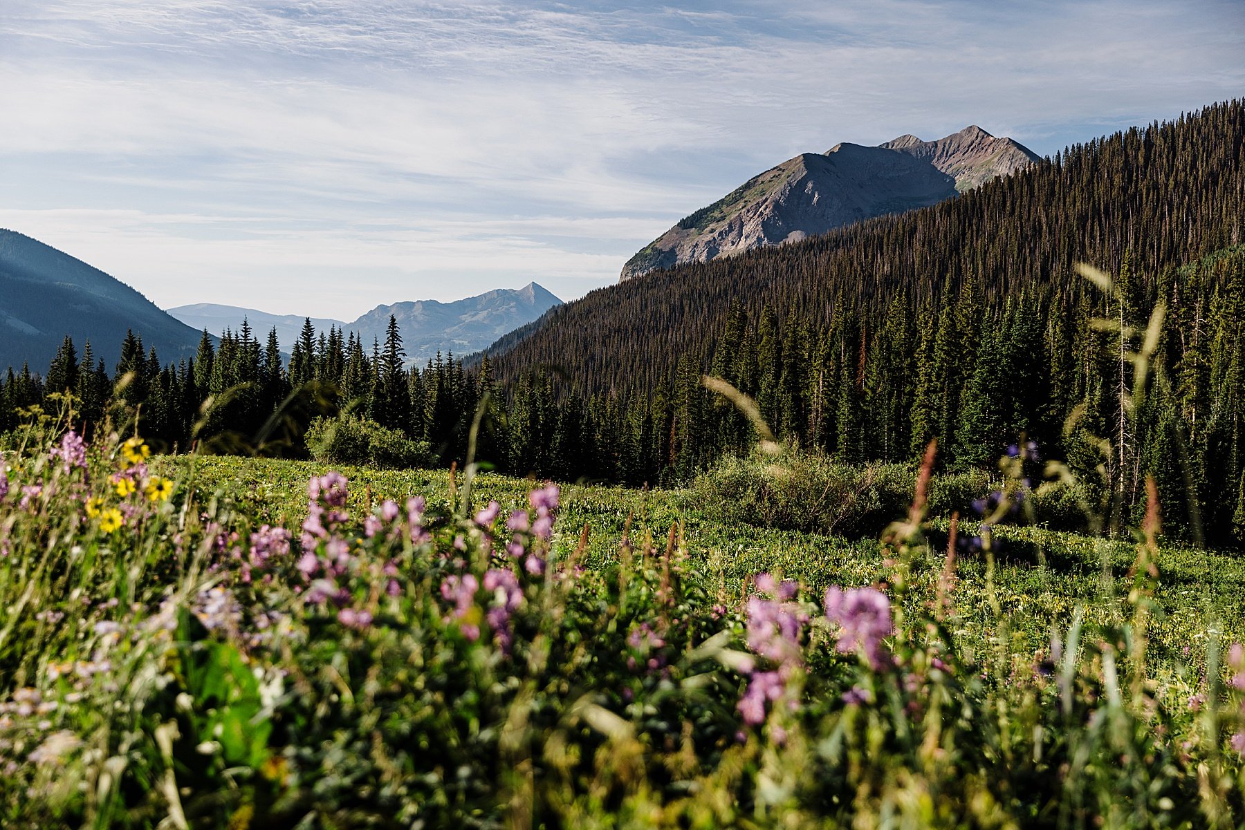 Wildflower-Elopement-in-Crested-Butte-Colorado_0025.jpg