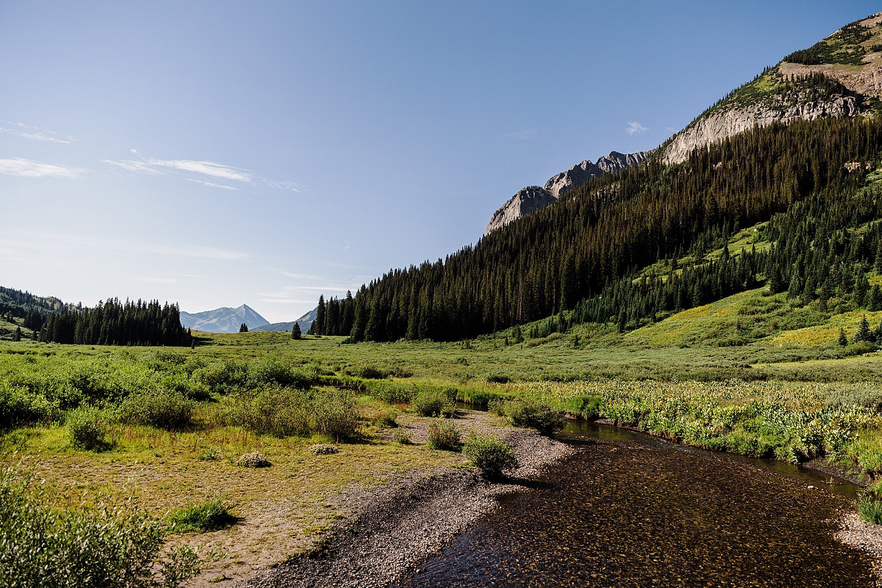 Wildflower-Elopement-in-Crested-Butte-Colorado_0044.jpg