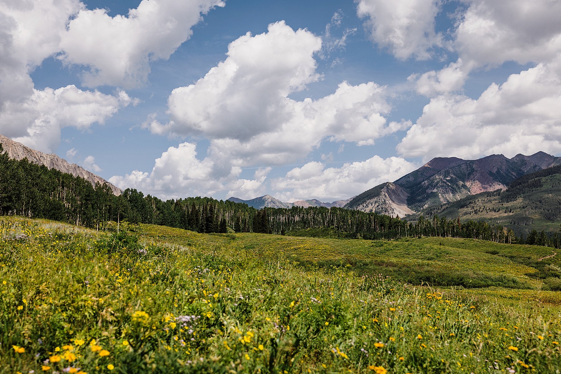 Wildflower-Elopement-in-Crested-Butte-Colorado_0064.jpg