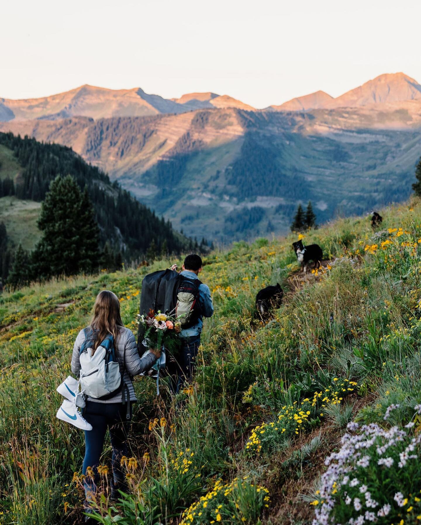 We met with Christine + Al at a remote trailhead before sunrise. As they started leashing up the dogs, Al realized that he forgot his suit. Everyone sprung into action, they headed back down the mountain, and we drove further up to one of our favorit