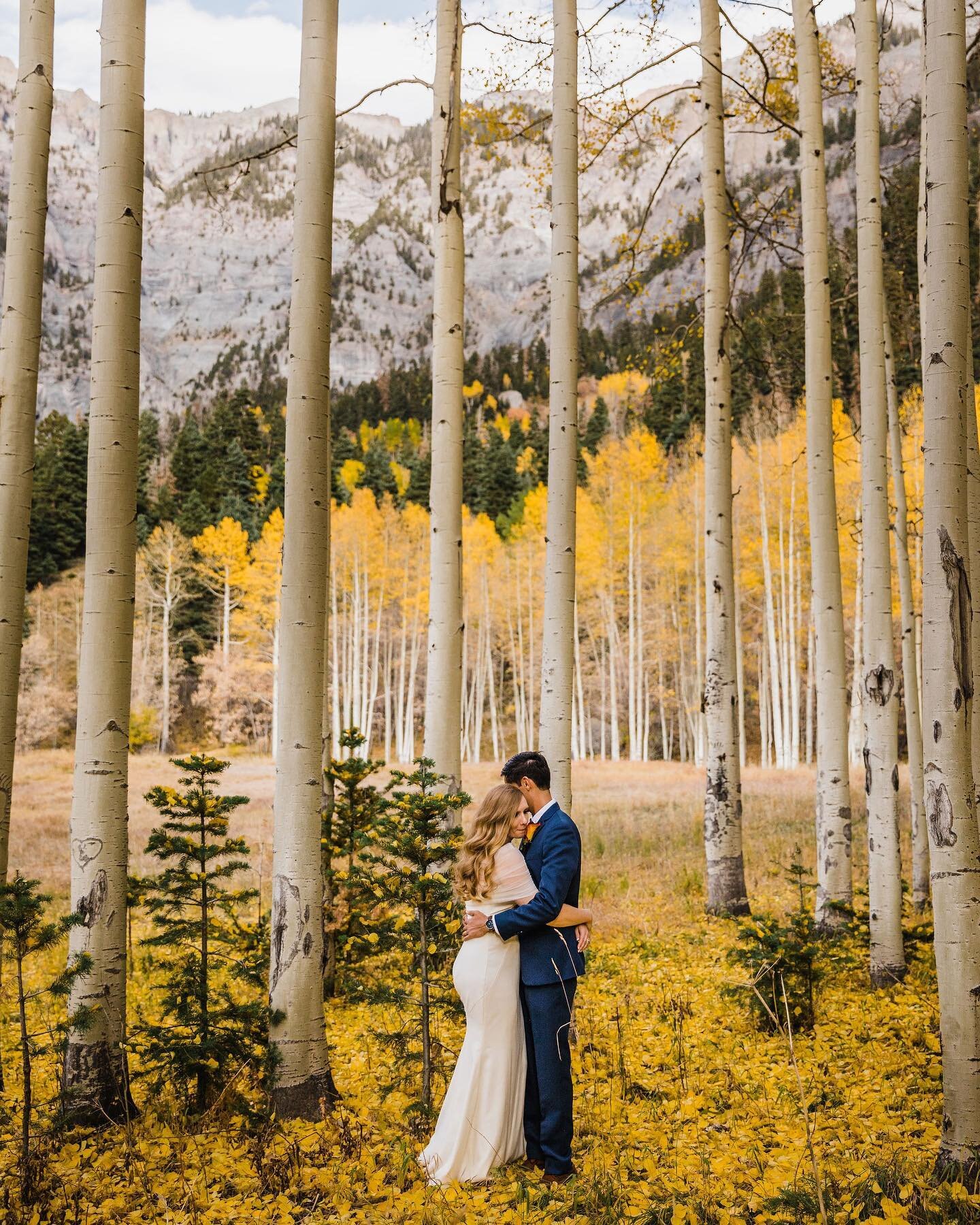 We often debate about what our favorite time of year for Colorado elopements is. Lisa&rsquo;s vote is usually centered around wildflowers and Alex is usually all about fall colors.

After the most incredible summer of wildflowers we&rsquo;ve ever exp
