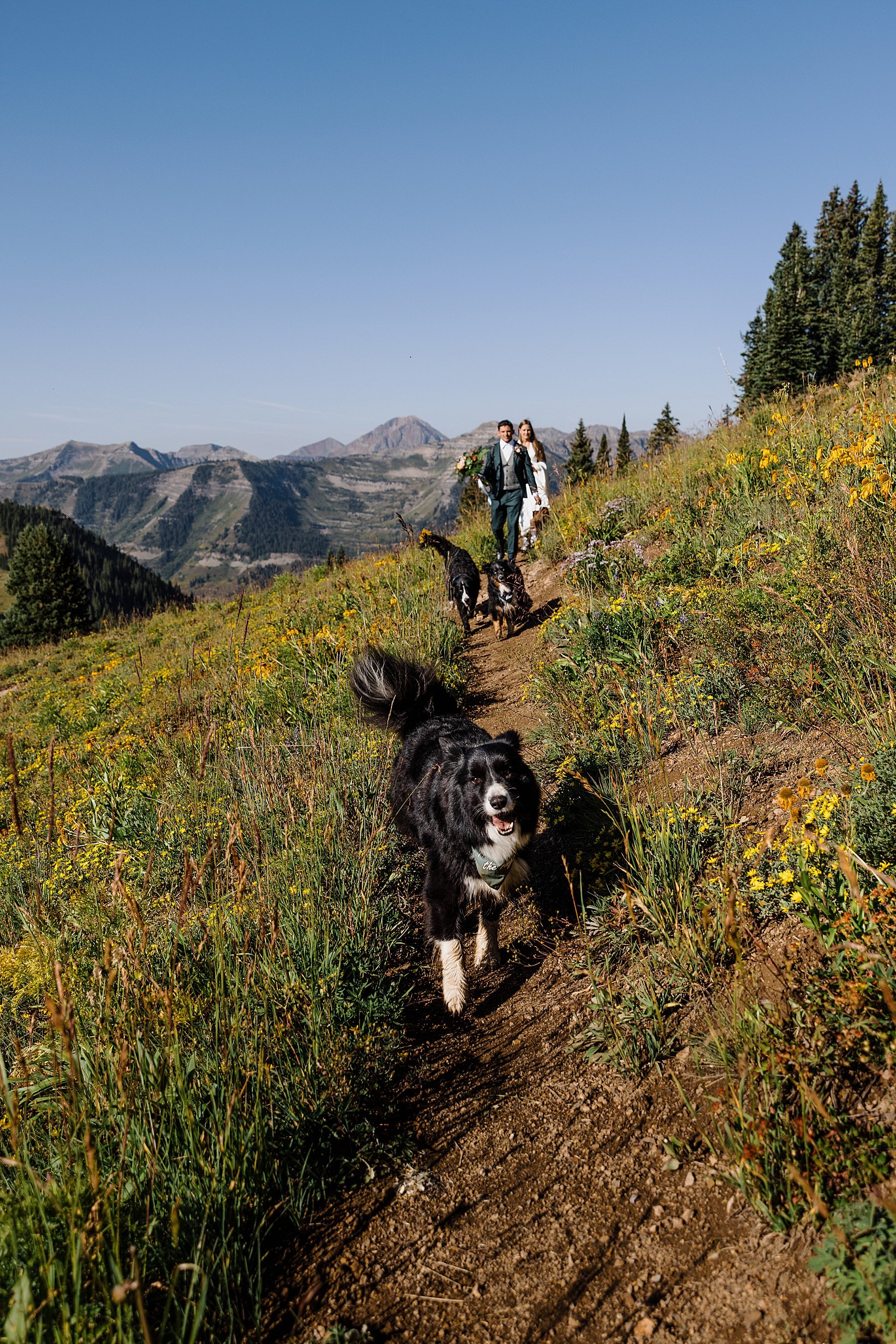 Summer-Crested-Butte-Elopement_0036.jpg