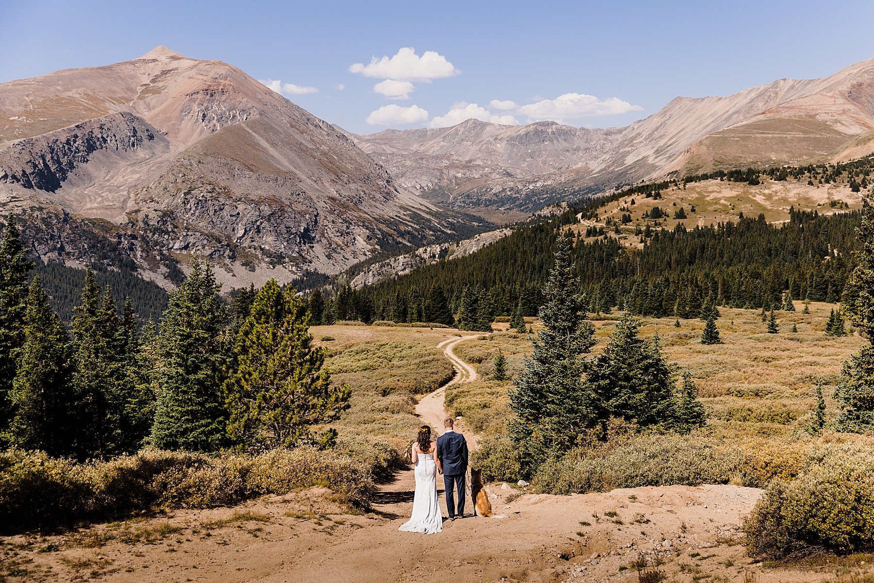 Elopement-with-a-Dog-in-Colorado_0048.jpg