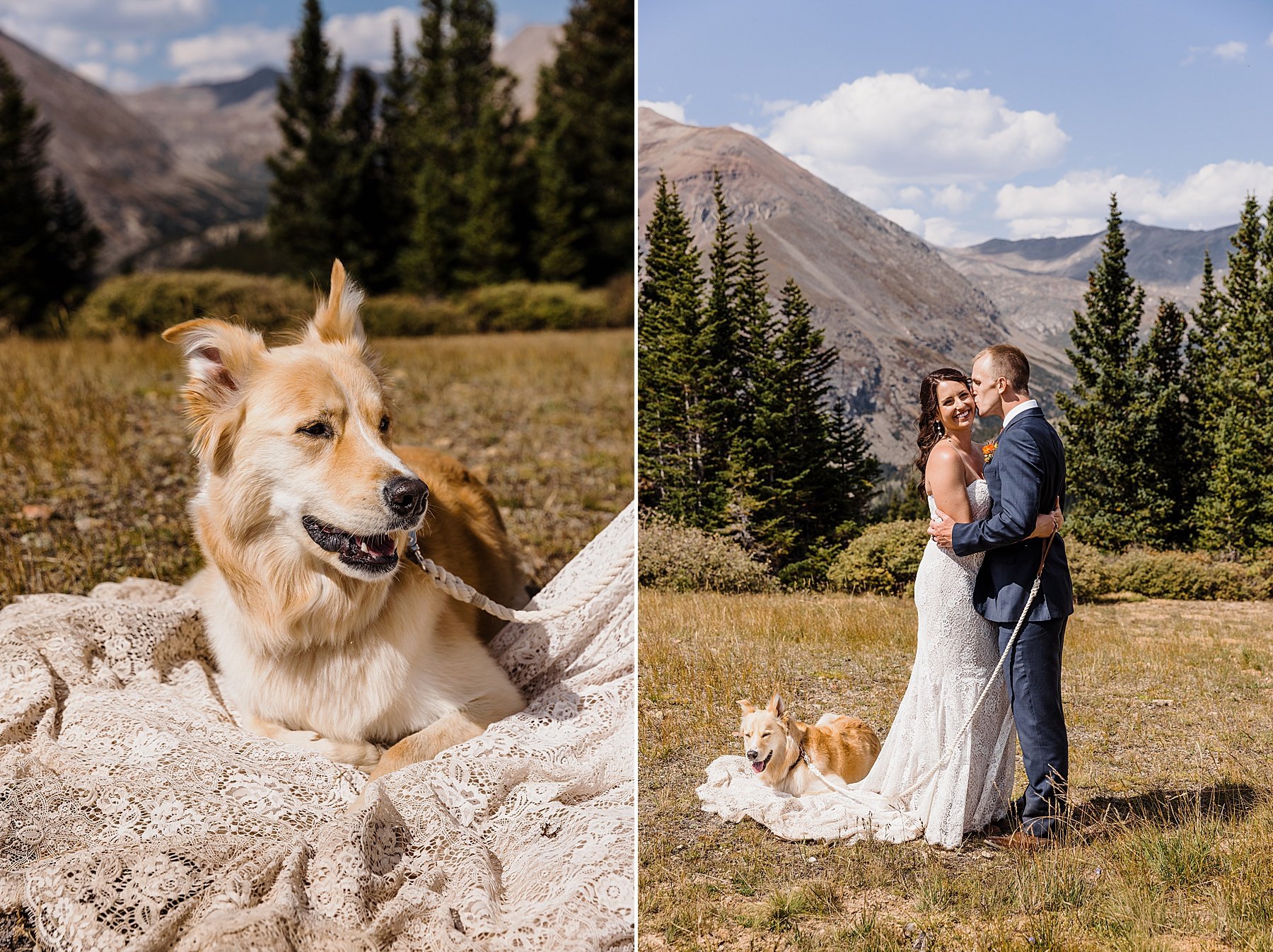 Elopement-with-a-Dog-in-Colorado_0058.jpg