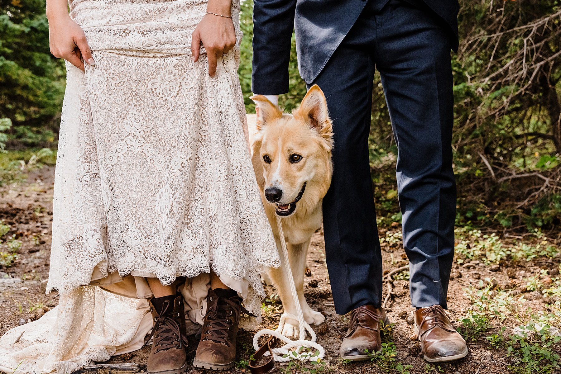 Elopement-with-a-Dog-in-Colorado_0062.jpg