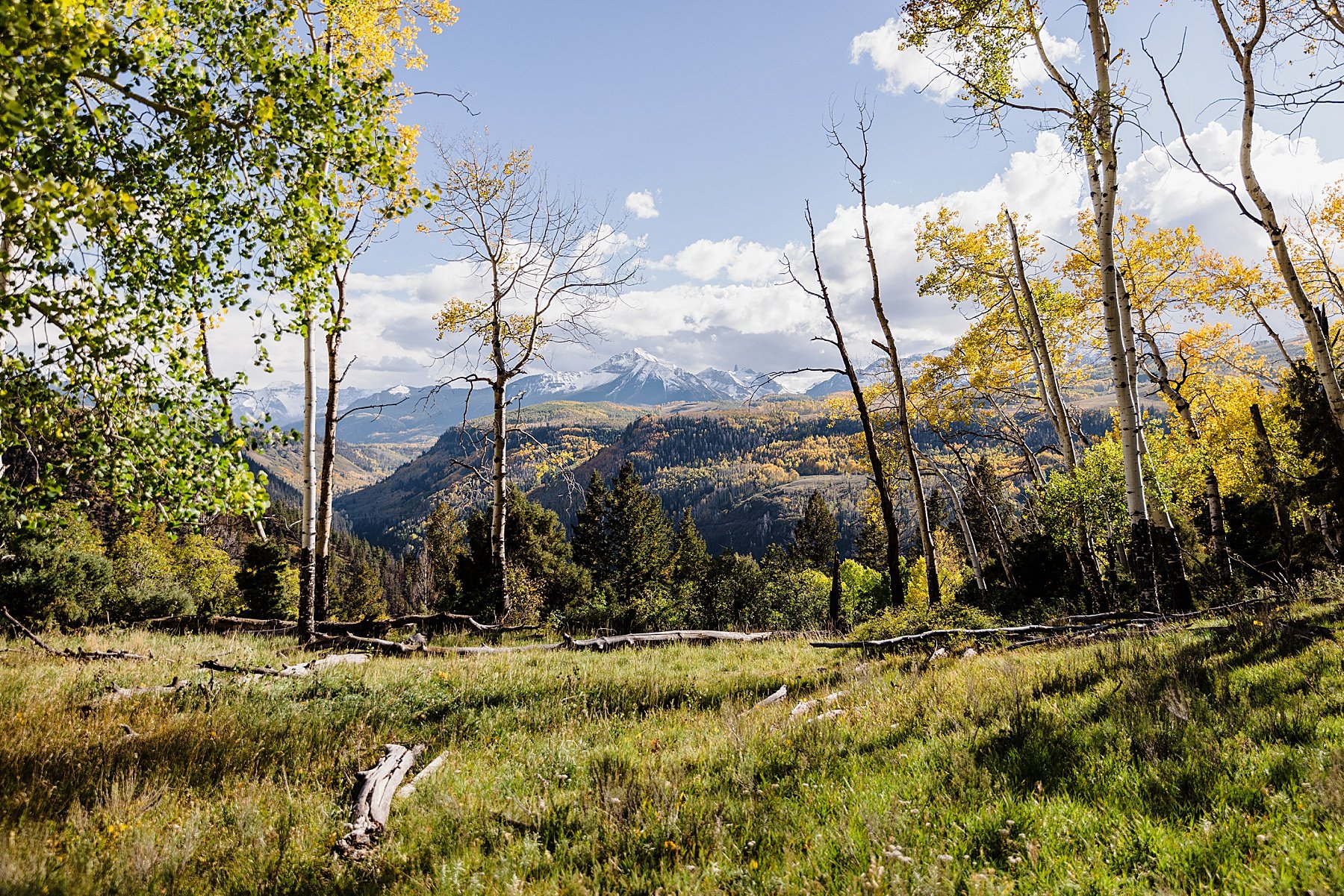 Micro Wedding at Aldasoro Ranch in Telluride Colorado