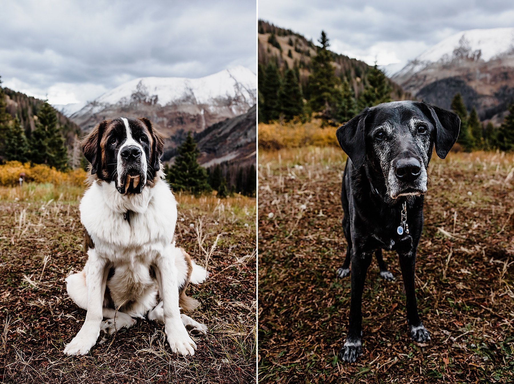 Ouray Colorado Jeep Elopement