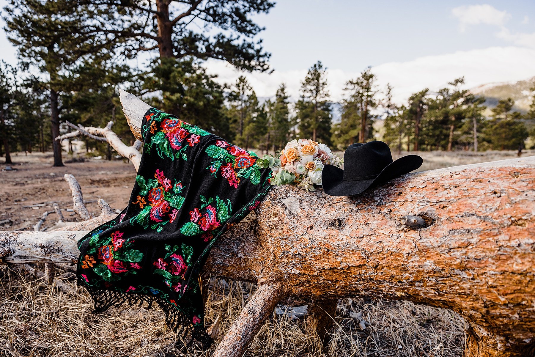 LGBTQ-Elopement-in-Rocky-Mountain-National-Park-Colorado_0030.jpg