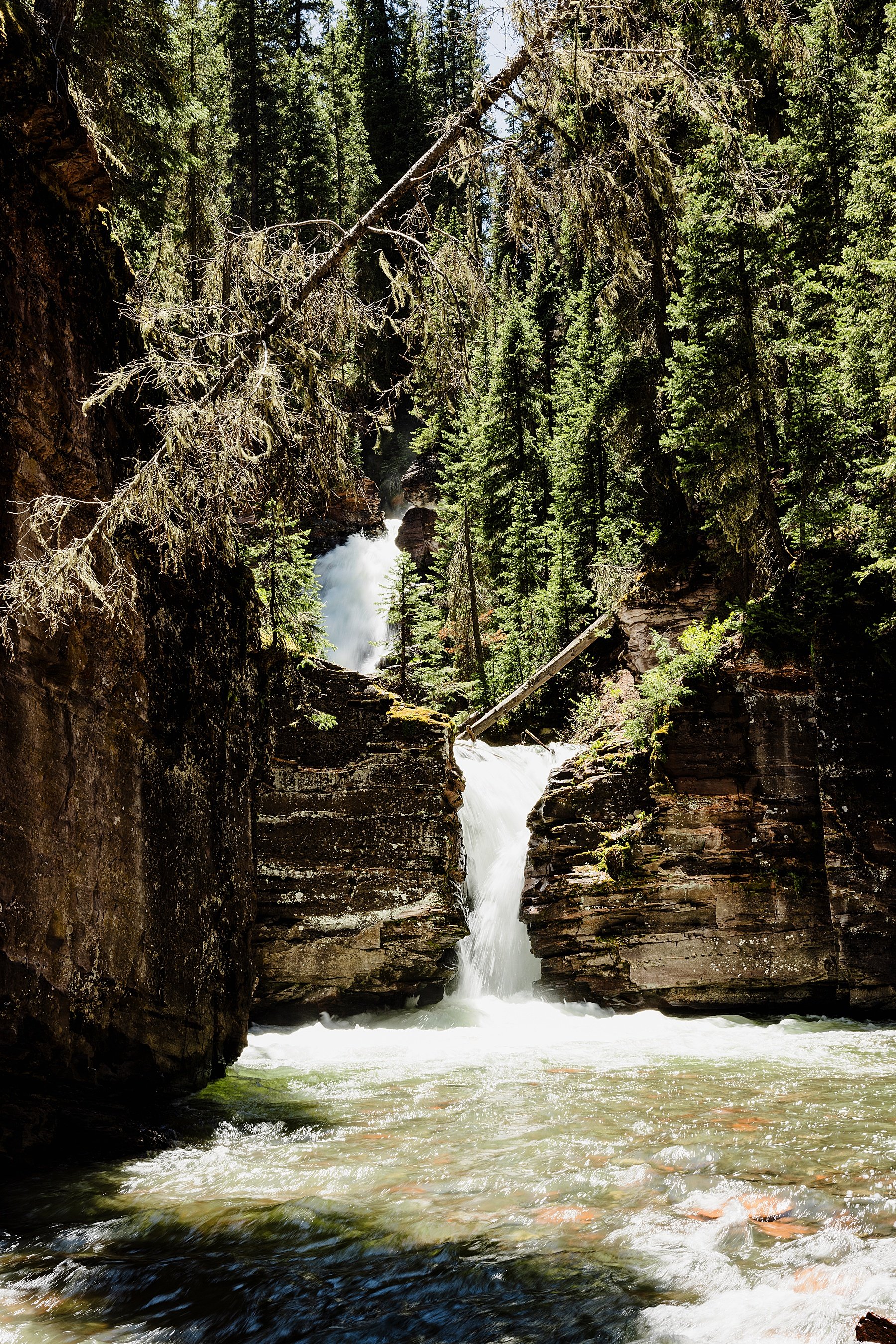 Colorado Elopement in the San Juan Mountains