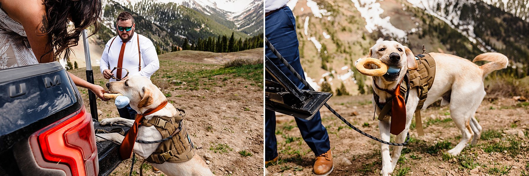 Colorado Elopement in the San Juan Mountains