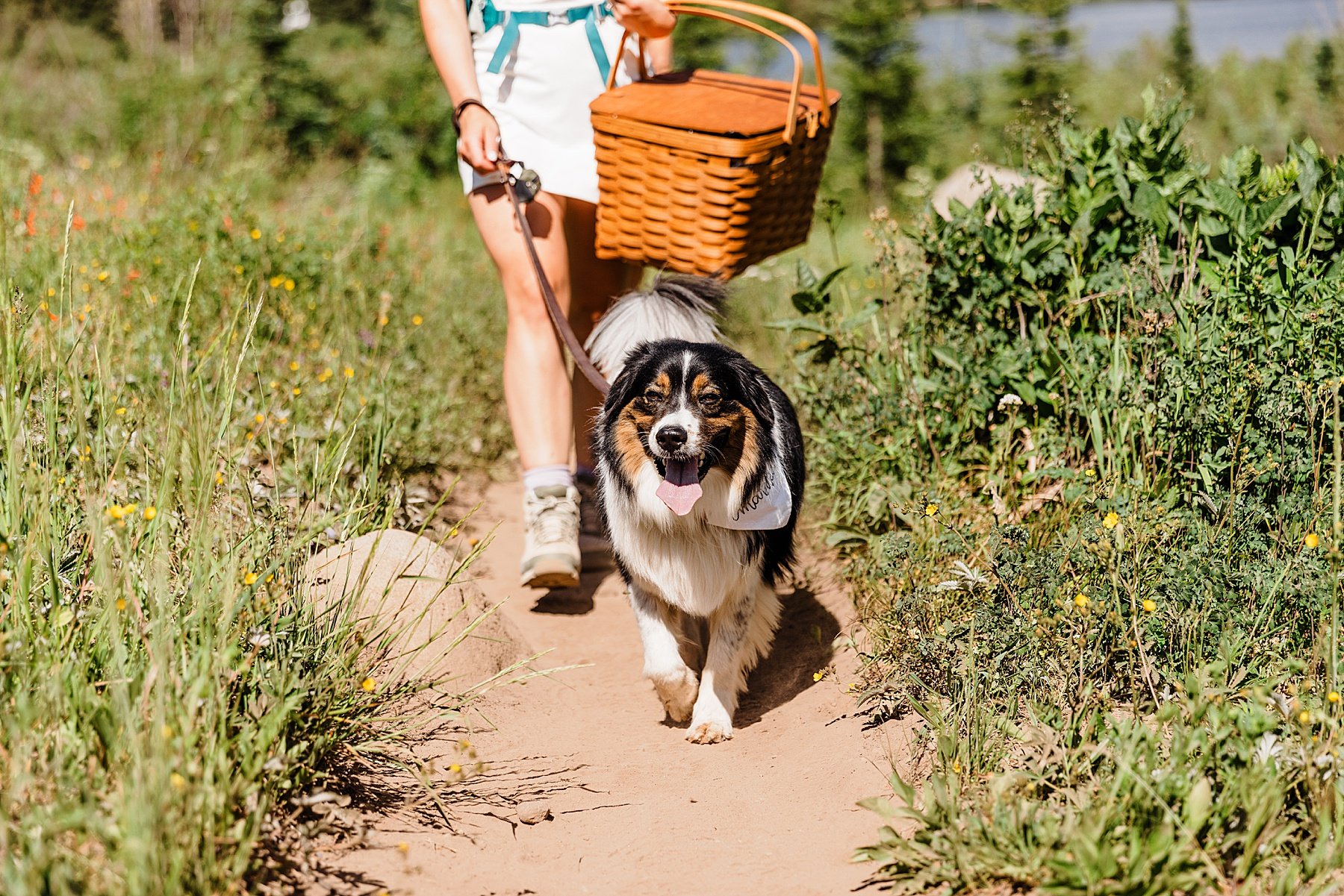 Colorado-Alpine-Lake-Hiking-Elopement-in-Crested-Butte_0007.jpg