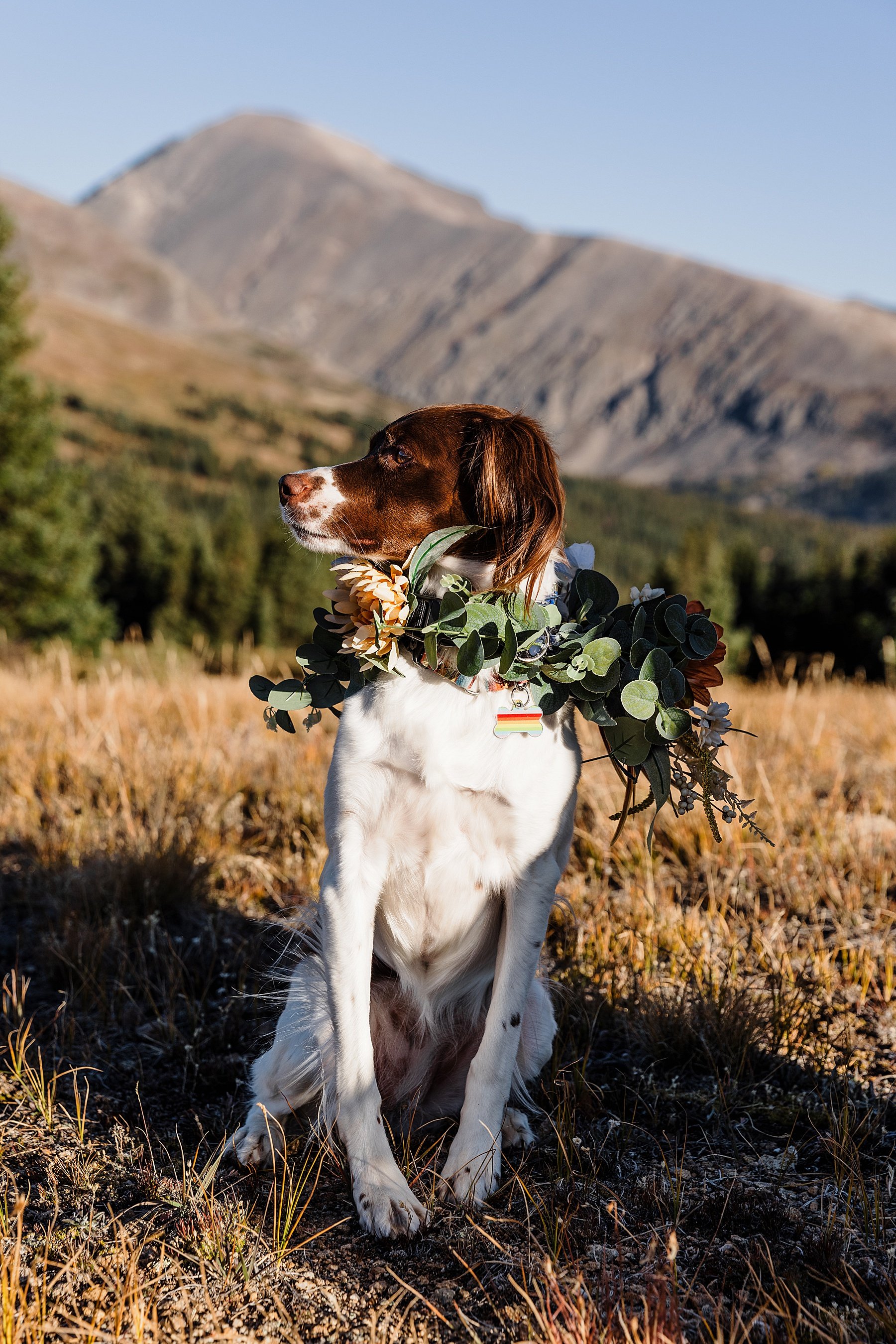 Fall-Sapphire-Point-Elopement-in-Breckenridge-Colorado_0016.jpg