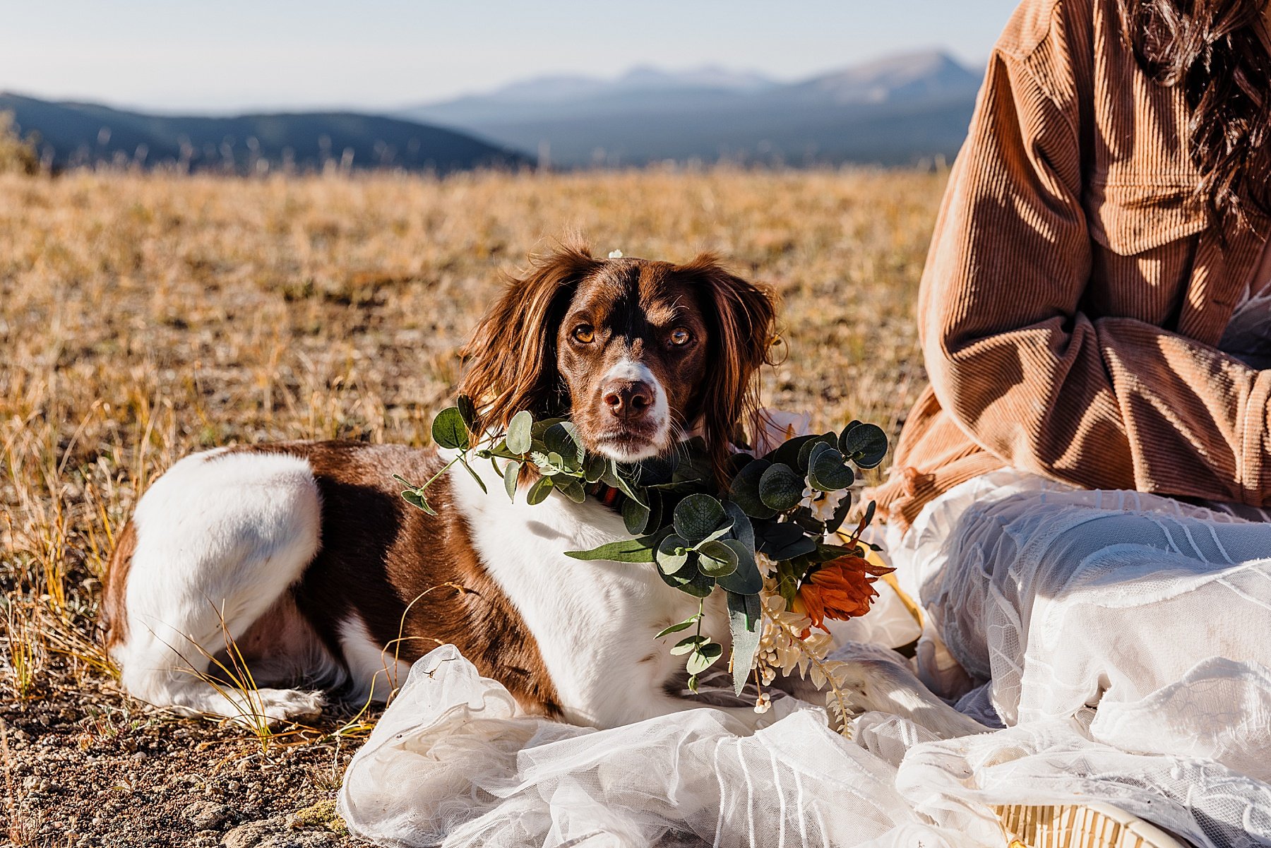 Fall-Sapphire-Point-Elopement-in-Breckenridge-Colorado_0024.jpg